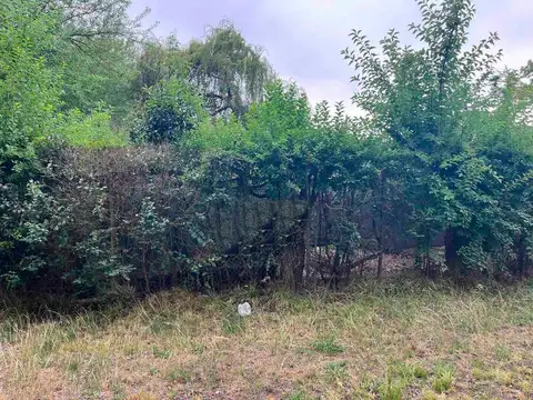 Avenida Lavalle y El Litoral