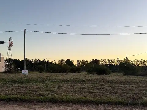 Terreno en Venta 40  mts Frente