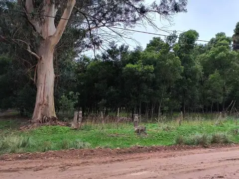 VENTA LOTE MIRAMAR COPACABANA