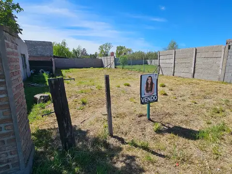 Terreno en Venta de 290,0 m2