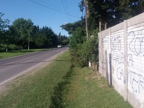 419/138 y 139