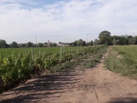 Terreno en Venta en Buena Nueva, USD 950.000