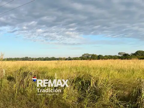 CAMPO EN VENTA DE 8,6 HECTÁREAS EN MAKALLE, CHACO