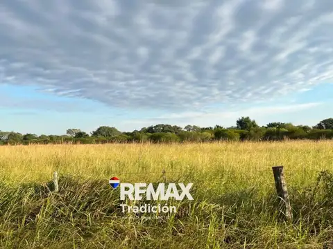 CAMPO EN VENTA DE 8,6 HECTÁREAS EN MAKALLE, CHACO