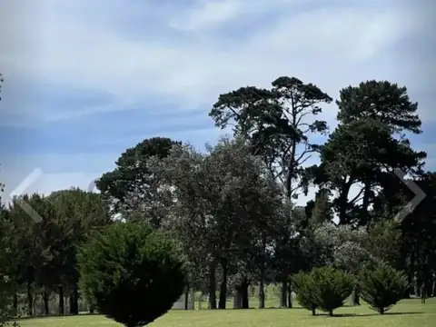Terreno en Venta en Mar del Plata, Partido de General Pueyrredón