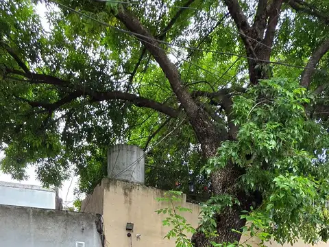 Carlos Ortiz 1290: PH 3AMB.   2 COCINAS   2 BAÑOS   PATIO