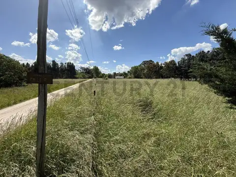 Calle 5 y 8 , Piso 0