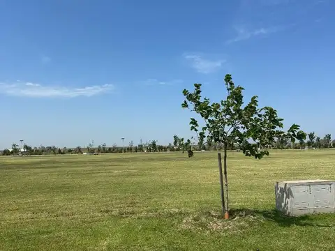 Terreno en Venta de 1200,0 m2