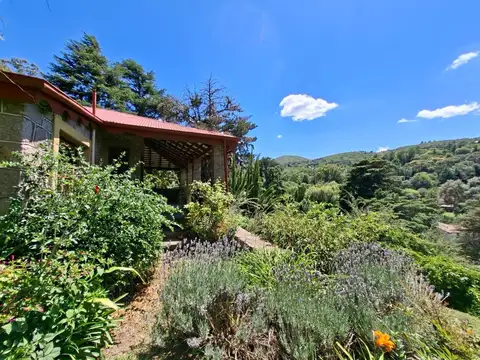 Venta Casa antigua Cruz Chica a refaccionar 1 hectarea frutales