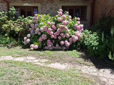 bartolome jaime 600 600