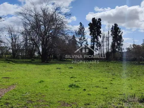 VENTA LOTE EN BARRIO LA VERDAD, RUTA 39 KM 3,2 PAVON CALLE BELLA VISTA 100