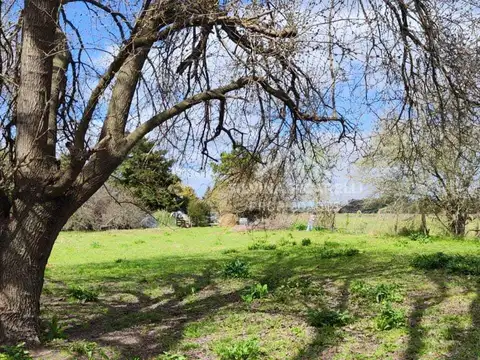 Terreno Lote  en Venta en Barrio Parque Sakura, Exaltación de la Cruz, G.B.A. Zona Norte