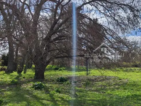 VENTA LOTE EN BARRIO LA VERDAD, RUTA 39 KM 3,2 PAVON CALLE BELLA VISTA 100