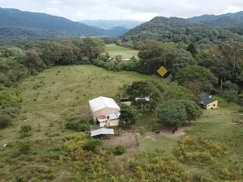 Venta - 40 Has Multiproposito