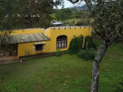 Venta - 40 Has Multiproposito