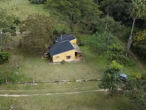 Finca Wierna