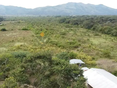 Finca Wierna