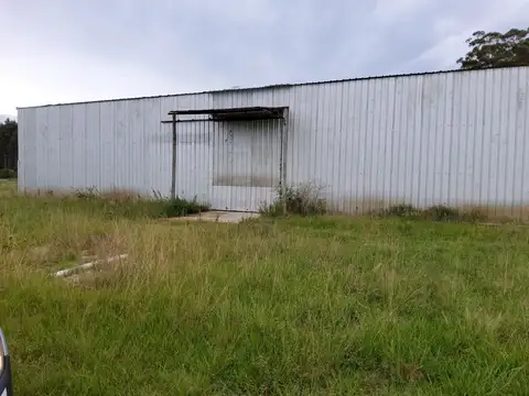 Galpón - Venta - Argentina, Concordia