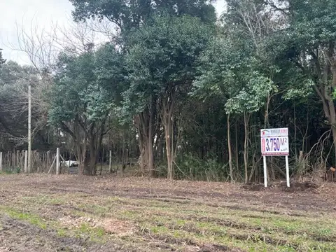 Terreno en Venta en San Pedro, USD 35.000