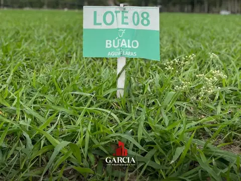 Terreno en Venta de 1000,0 m2