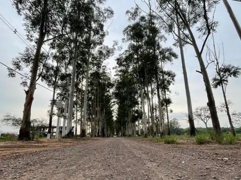 Terreno en Venta de 1000,0 m2