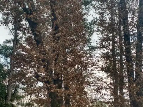 Quinta en Venta de 1 dormitorio