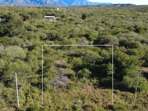 Terreno en Venta en San Fco Del Monte De Oro, USD 10.000