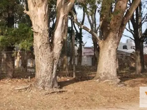 Terrenos en venta - 800Mts2 - San Bernardo del Tuyú
