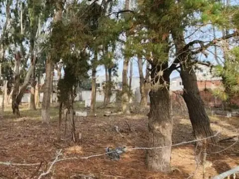 Terreno en Venta de 800,0 m2