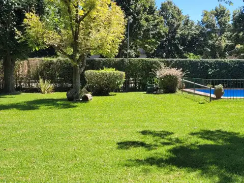 Alejandro Vitale 500