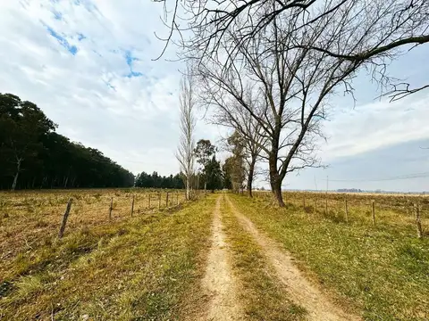 CAMPO EN VENTA LA PLATA ABASTO