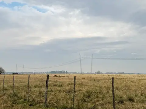 CAMPO EN VENTA LA PLATA ABASTO