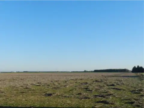 8.5 Has en Baradero sobre Ruta 9