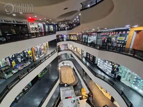 Avenida San Martín 1240 100