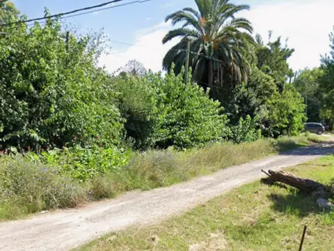 Terreno - Villa Elisa