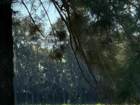 5 HECTAREAS, RIO TALA, SAN PEDRO, Provincia de Buenos Aires
