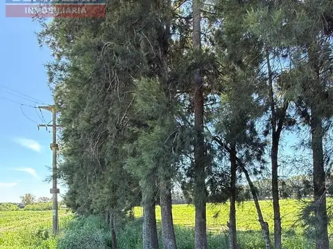 Venta Campo 5 Hectáreas en Río Tala