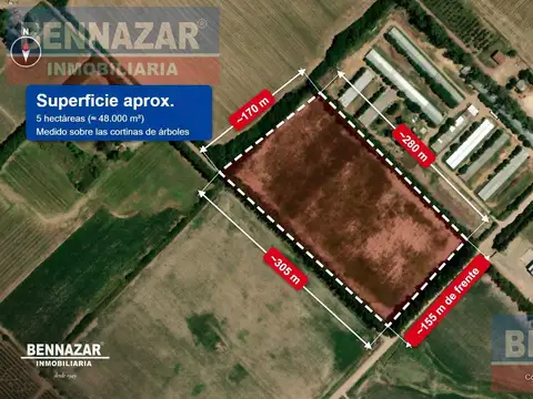 5 HECTAREAS, RIO TALA, SAN PEDRO, Provincia de Buenos Aires