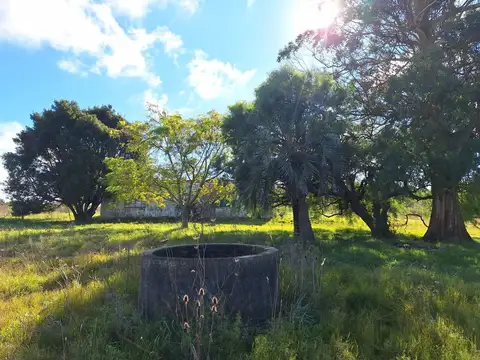 Venta campo 4 Ha 1293 m² con construcción en Pando