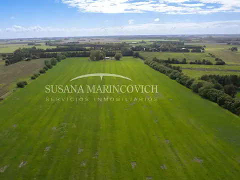 Campo 15ha San Andres de Giles