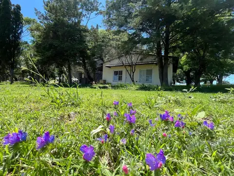 Terreno en Venta en Ireneo Portela, USD 450.000