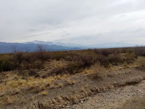 Terreno en Venta en Pareditas, San Carlos
