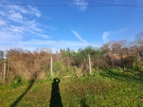 Carola Lorenzini al 5400