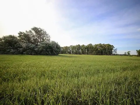 Lote a la venta en Chacras de San Andrés