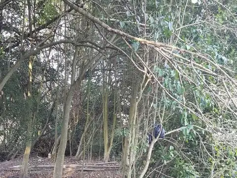 Terreno en Venta en Lisandro Olmos Etcheverry, USD 7.500