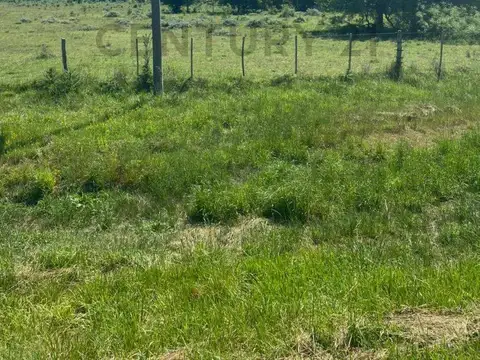 Campo en venta