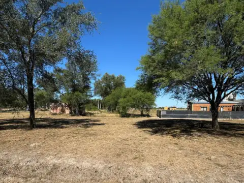 Aires de Colonia 100