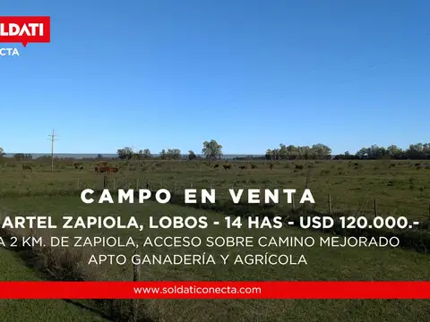 Campo de 14 has. en Cuartel Zapiola apto ganadería y agrícola, Lobos, pcia de Buenos Aires