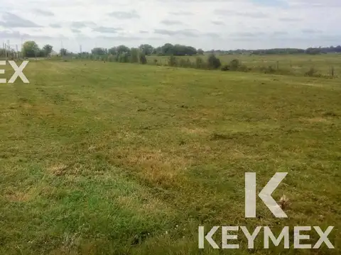 Terreno en Venta de 1250,0 m2