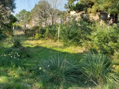 Terreno en Venta 12,50  mts Frente